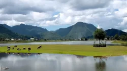 Danau Tarusan Kamang