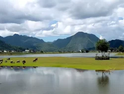 5 Pesona Ajaib Danau Tarusan Kamang di Sumatera Barat