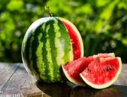 10 Manfaat Semangka untuk Kesehatan yang Luar Biasa