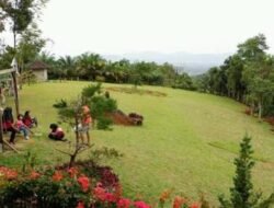 Sago Park Payakumbuh, Wisata Alam dan Budaya di Kaki Gunung Sago