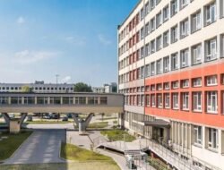 Daftar Lengkap SD Negeri dan Swasta di Kabupaten Pasaman