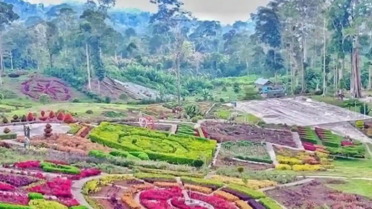 Puncak Tonang Pasaman