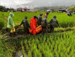 BNPB Catat 1.135 Korban Jiwa Akibat Banjir di Aceh dan Sumatra