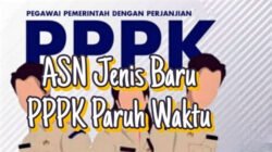 PPPK Paruh Waktu