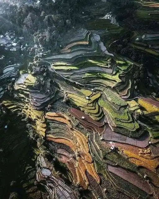 Nagari Pariangan, Desa Tradisional Paling Indah di Sumatera Barat