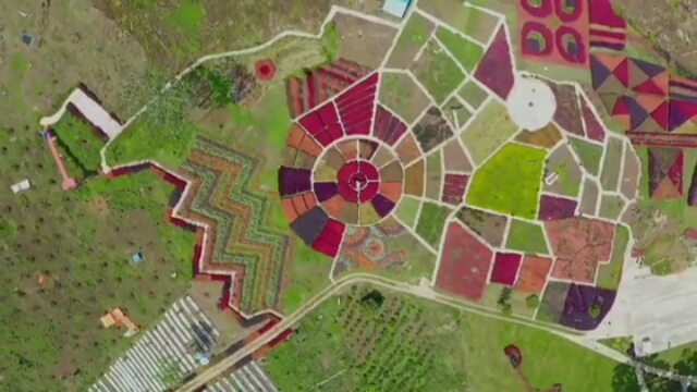 Puncak Tonang Pasaman