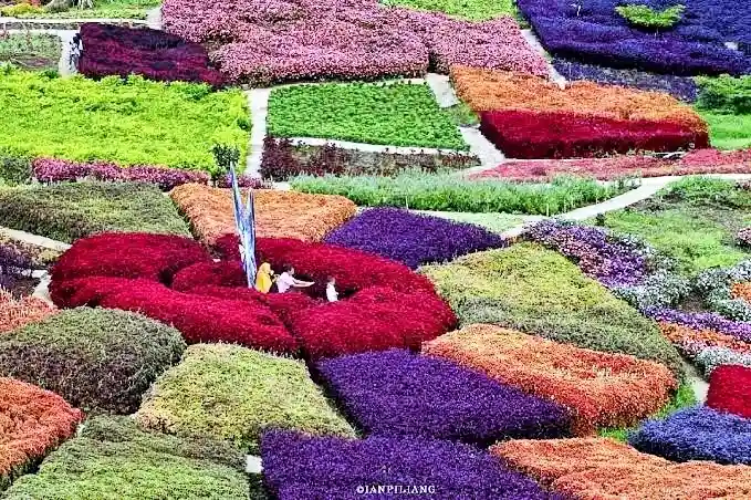 Puncak Tonang Pasaman