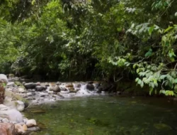 Bayang Aia Pasaman, Wisata Air Alami di Lubuk Sikaping