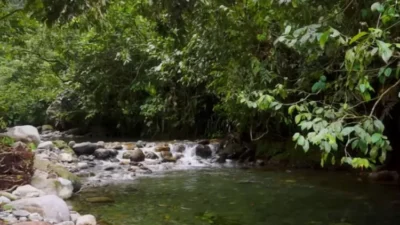Bayang Aia Pasaman