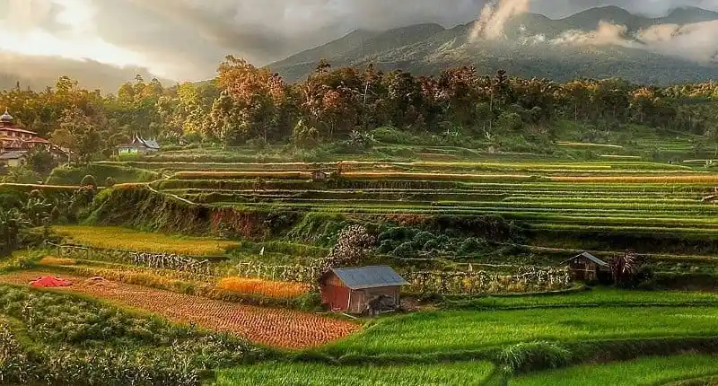Nagari Pariangan, Desa Tradisional Paling Indah di Sumatera Barat