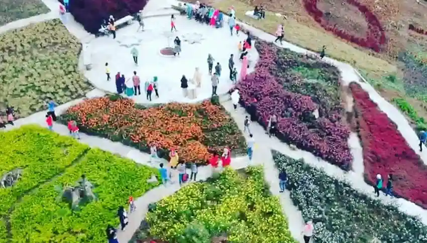 Puncak Tonang Pasaman