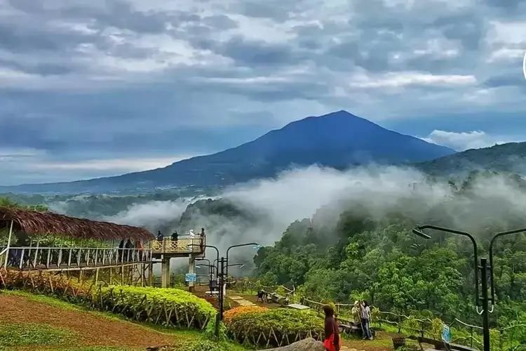 Wisata Bukittinggi Panorama Baru dengan Pemandangan Alam Terbaik