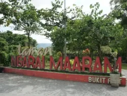 Taman Ngarai Maaram Bukittinggi, Wisata Keluarga Favorit