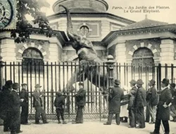 Top 20 Oldest Zoo in the World Still Operating