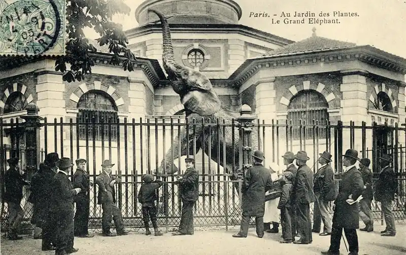 Top 20 Oldest Zoo in the World Still Operating