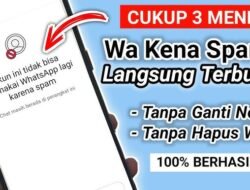 Cara Mengatasi WA Kena Spam agar Terhindar Penipuan