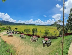 Cafe di Kamang Terpopuler 2026 dengan View Alam Asri