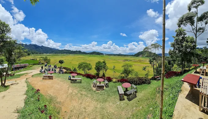 Cafe di Kamang Terpopuler 2026 dengan View Alam Asri