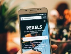 Belajar SEO Untuk Pemula? Jawabannya Ada Disini!