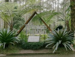 Kisah Nyata Keluarga di Objek Wisata Jenjang Seribu yang Bikin Terharu