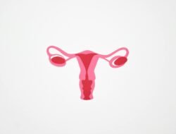 10 Rahasia Tersembunyi dari Objek Wisata Bukittinggi yang Bikin Liburanmu Makin Seru!