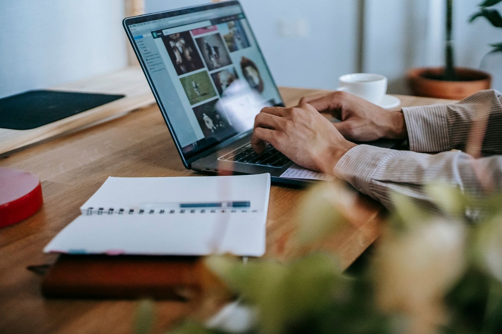 Penulis artikel SEO profesional membuat konten berkualitas